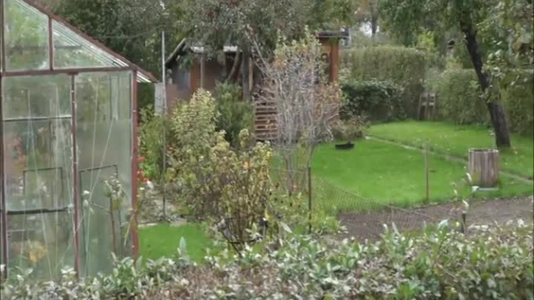 10_10_obserwator.mp4