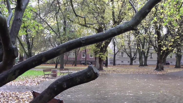 13_11_obserwator.mp4