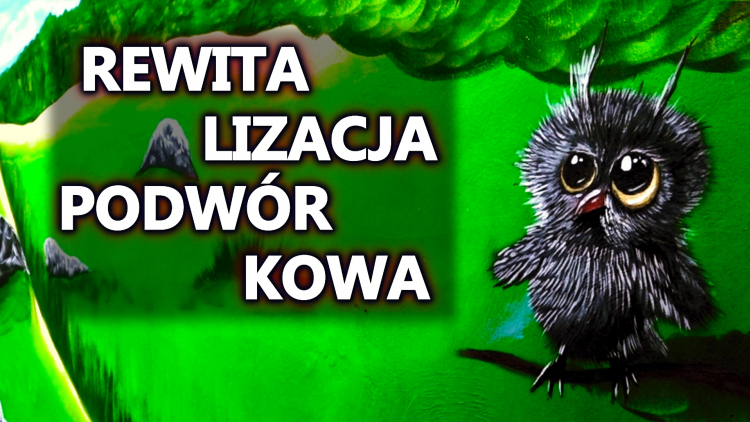 rewitalizacja-podworkowa-1920x1080-25p-28mbps.mp4