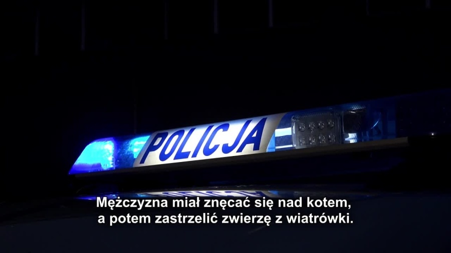 04-04-policyjne-raporty-odc-4.mp4