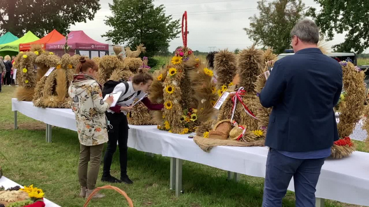 wt-dozynki-flesz.mp4