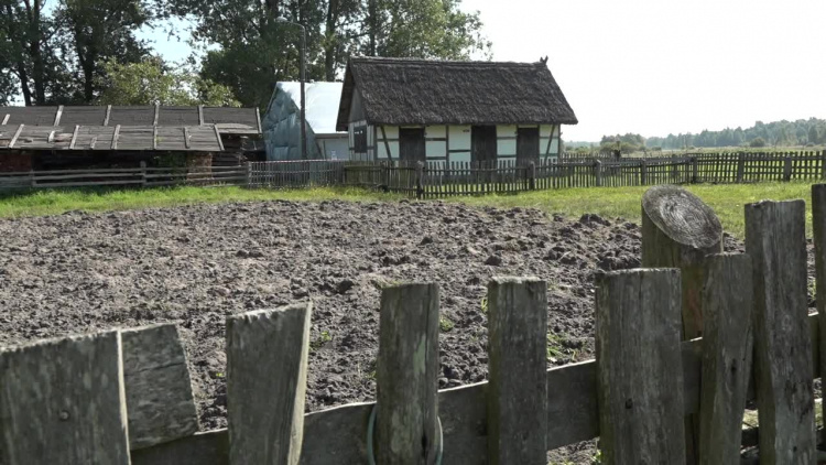 wt-fumigacja-w-klukach.mp4