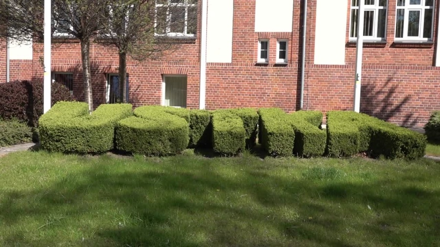 czw-genetyka-w-ustce.mp4