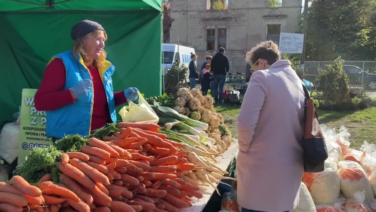 czw-pokopki-flesz.mp4