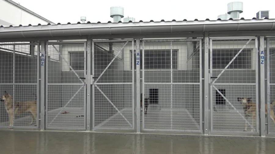 wt-schronisko-bez-zmian.mp4