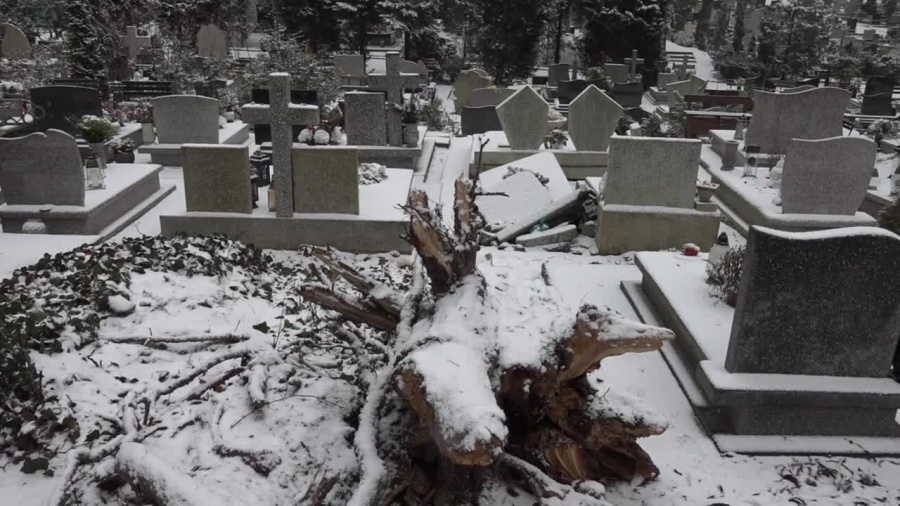 sr-uszkodzenia-grobow-na-cmentarzu.mp4