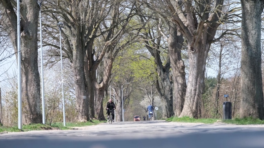 czw-legionow-bedzie-dluzsza-flesz.mp4