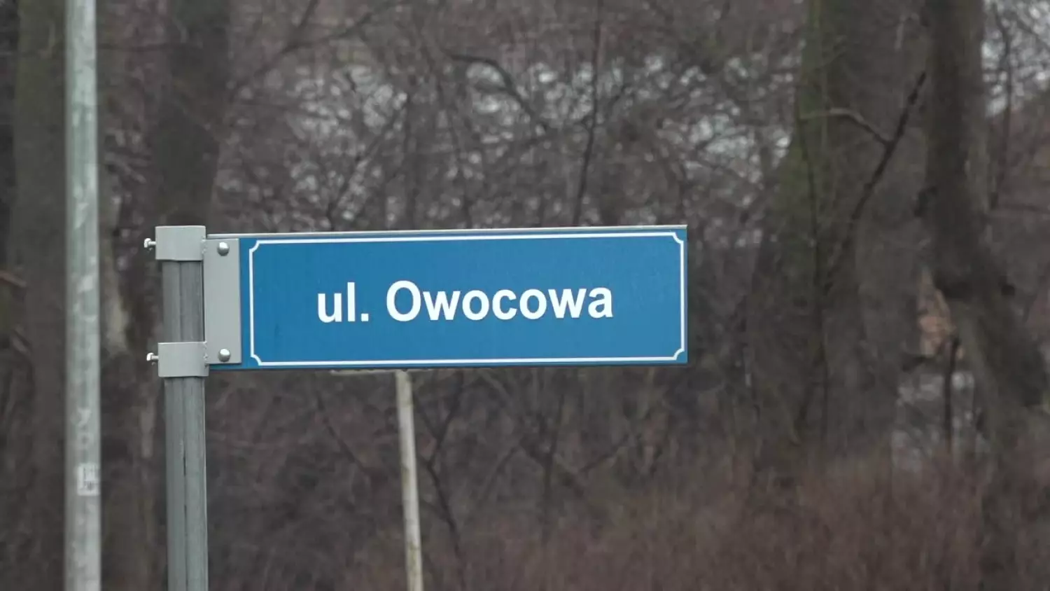 pt-owocowa-do-przebudowy.mp4