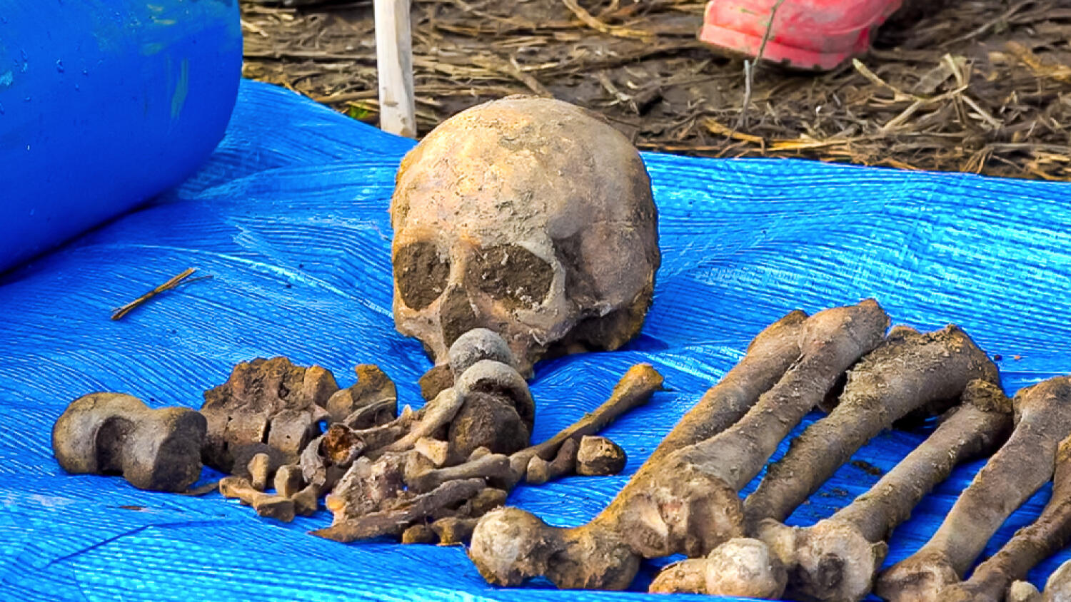 czw-szczatki-na-budowie.mp4