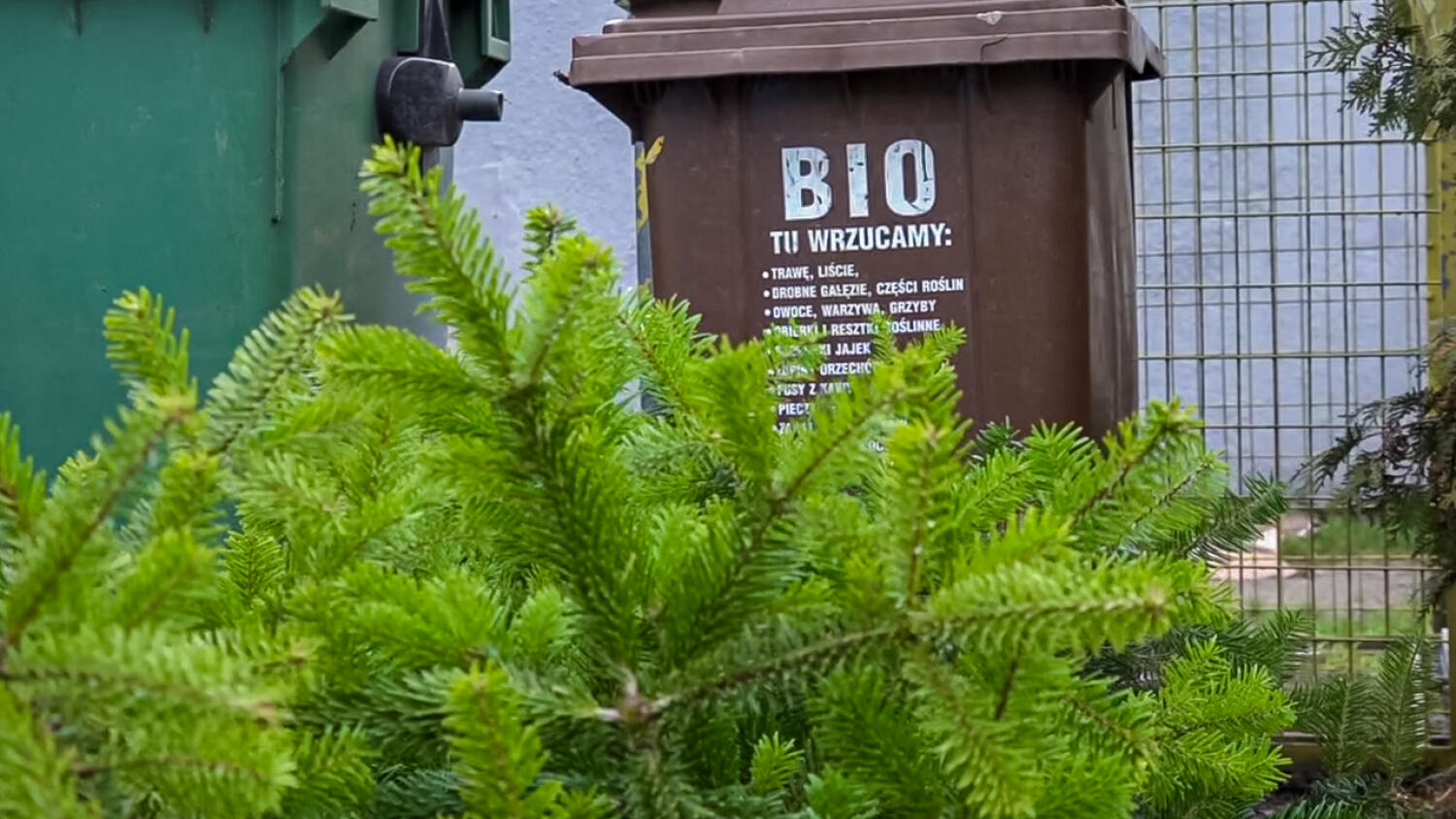 czw-choinki-jak-bio.mp4