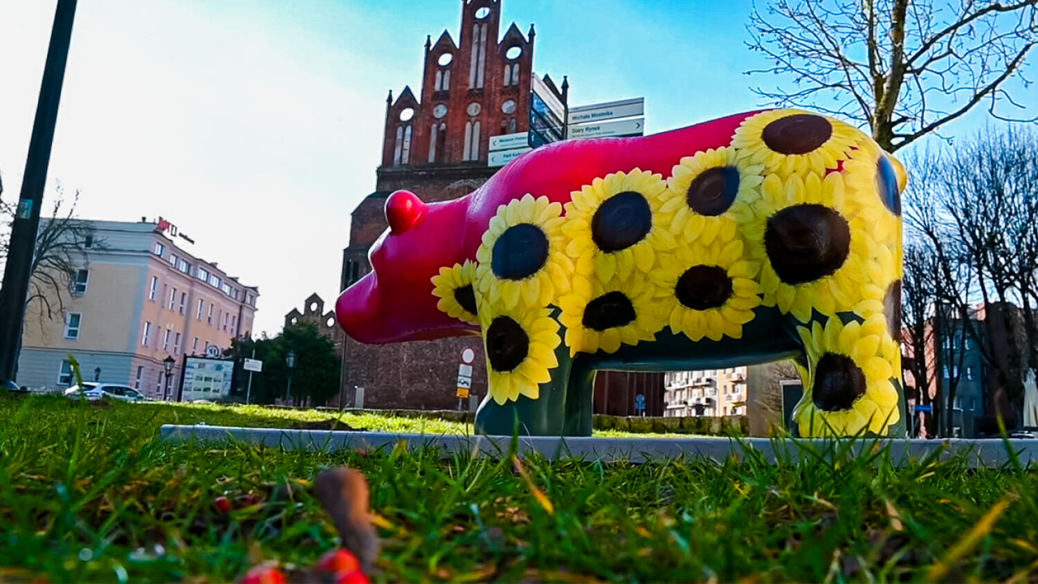 czw-szczesliwy-mis.mp4