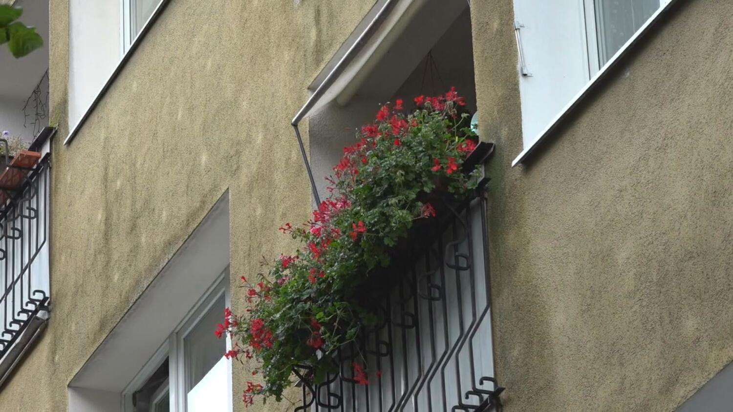 sr-bonifikata-na-wykup.mp4