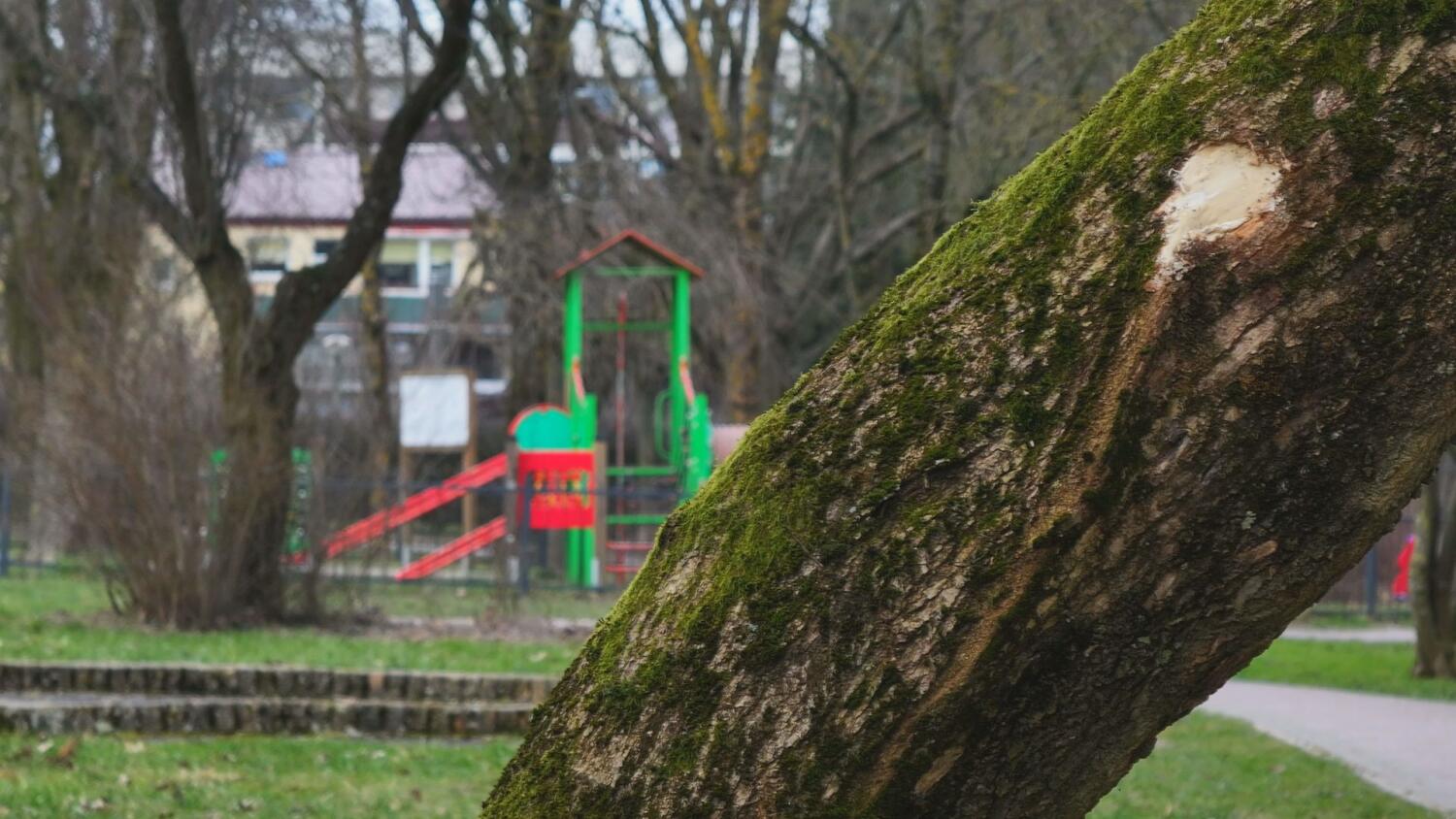 czw-konsultacjie-park-wazow.mp4