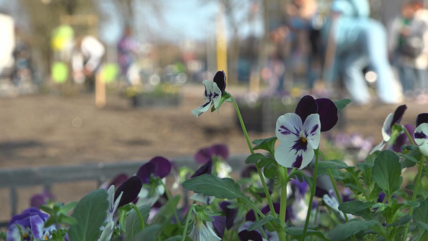 czw-kwietny-czyn-spoleczny.mp4