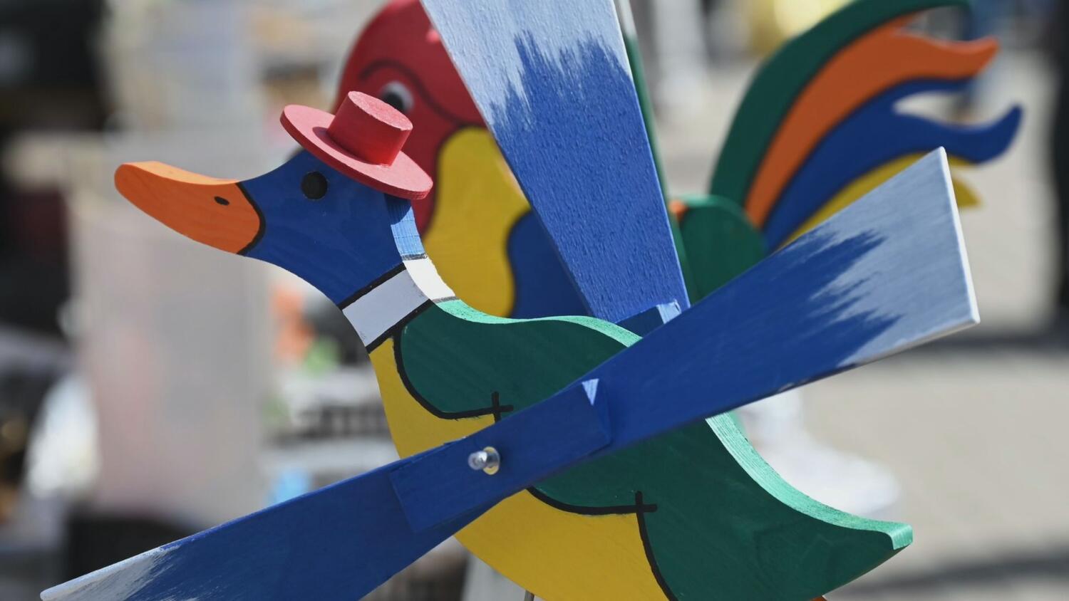 sr-wszystko-do-ogrodu.mp4