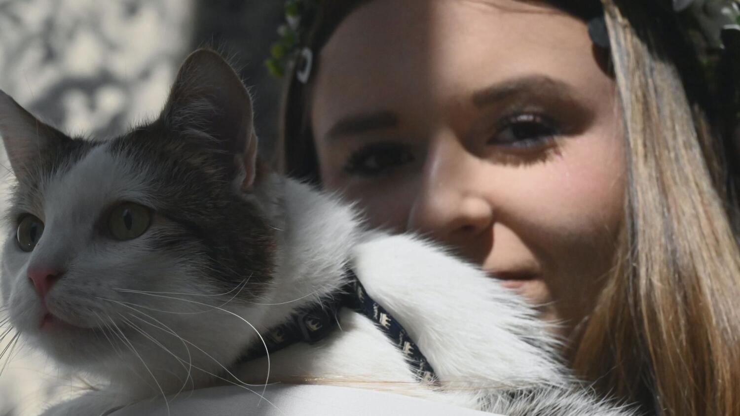 wt-nie-szkola-a-przygoda.mp4