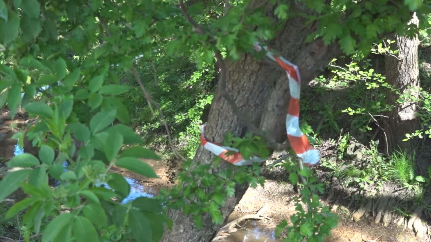 czw-zwloki-w-walizce.mp4