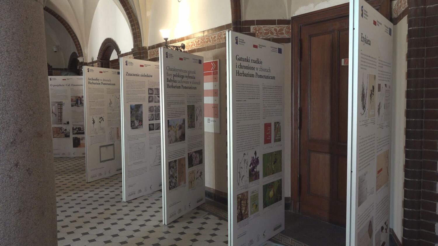 sr-herbarium-w-ratuszu.mp4