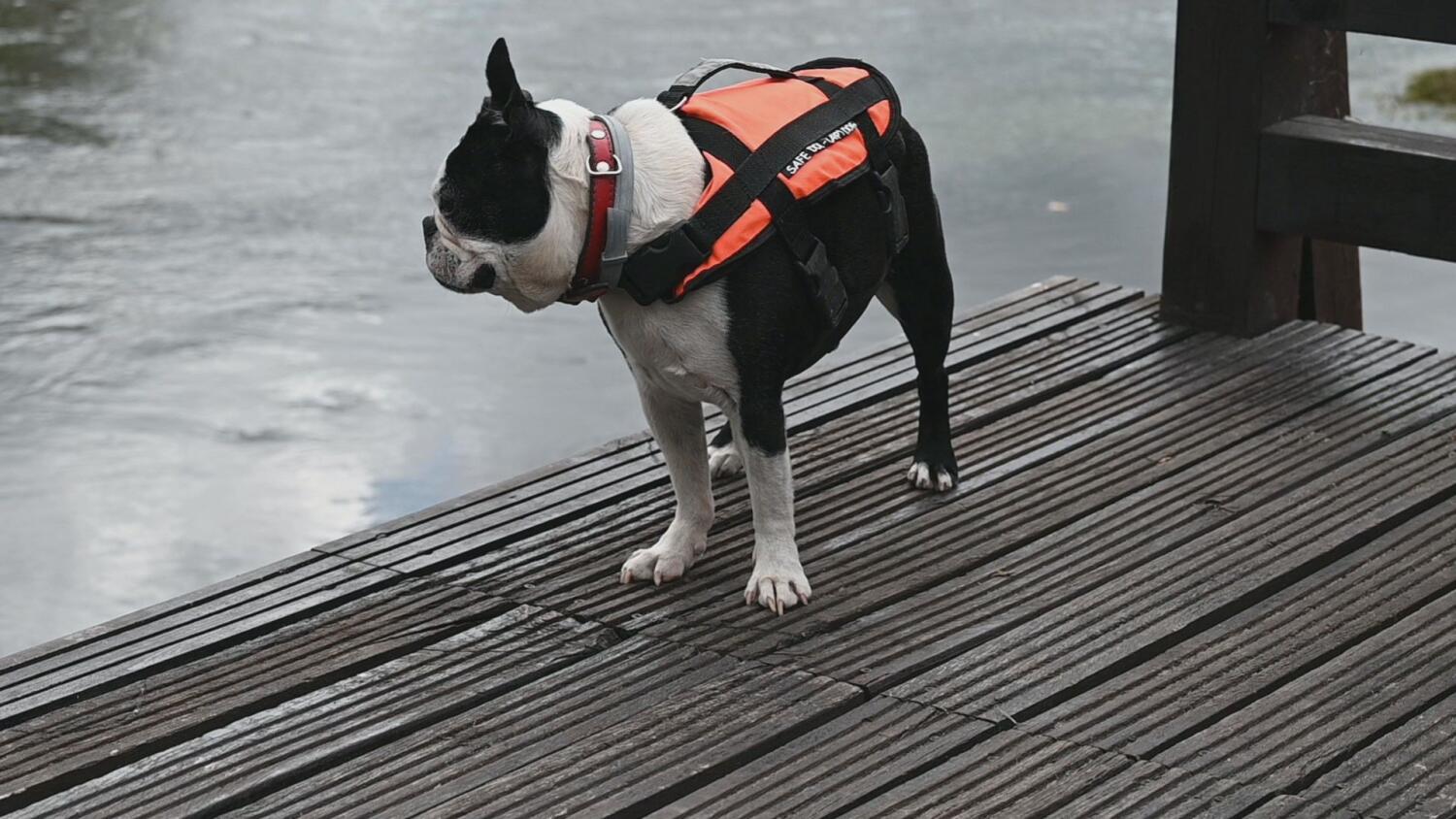 czw-kajakiem-po-pomorskim-szlaku.mp4