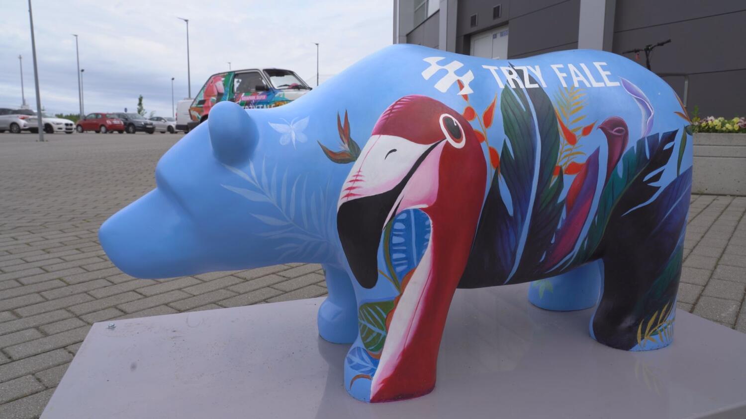 czw-flamingowy-mis.mp4