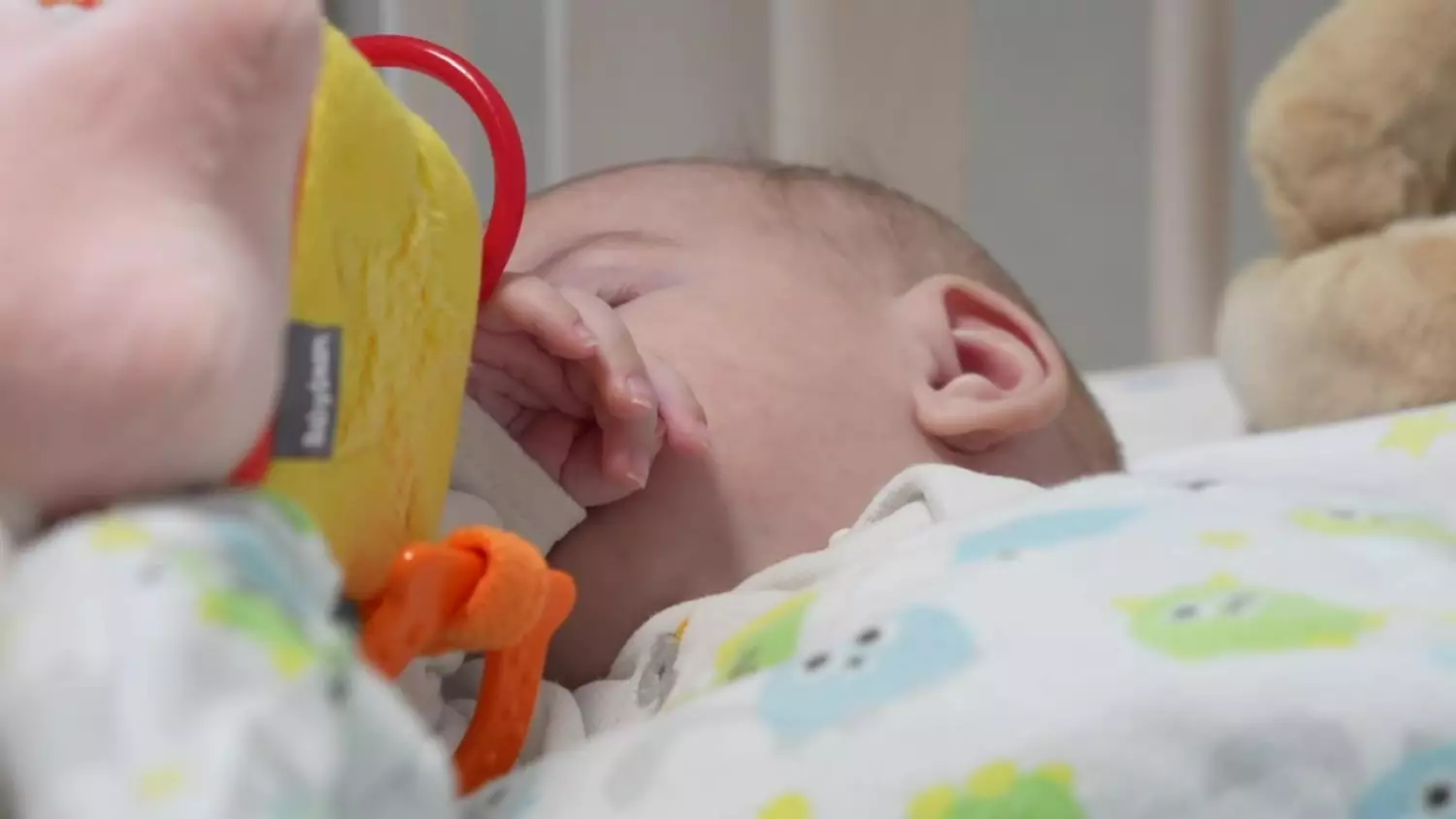 wt-rodzina-potrzebna-na-cito.mp4