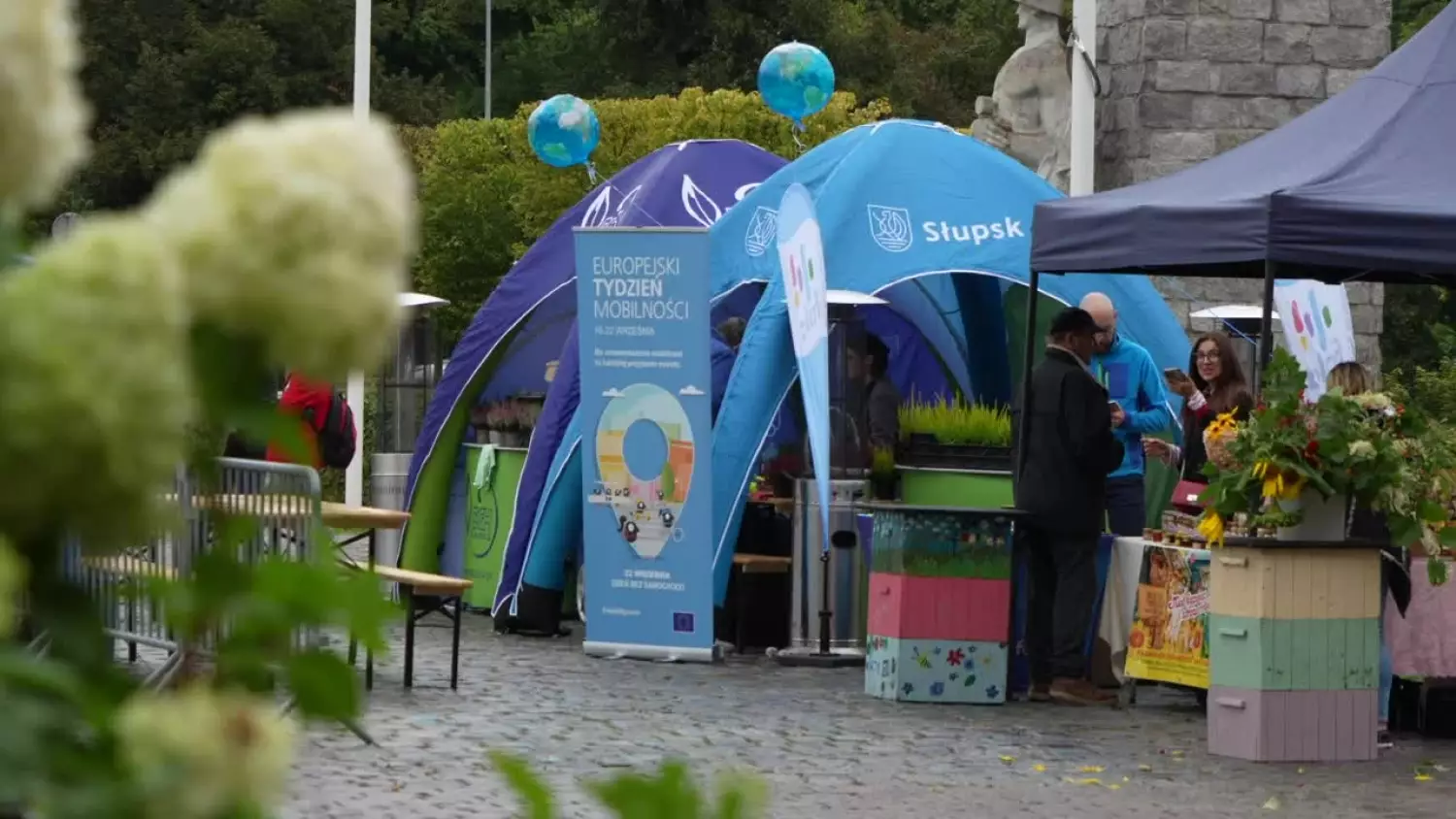 wt-edukacja-wnamioty.mp4