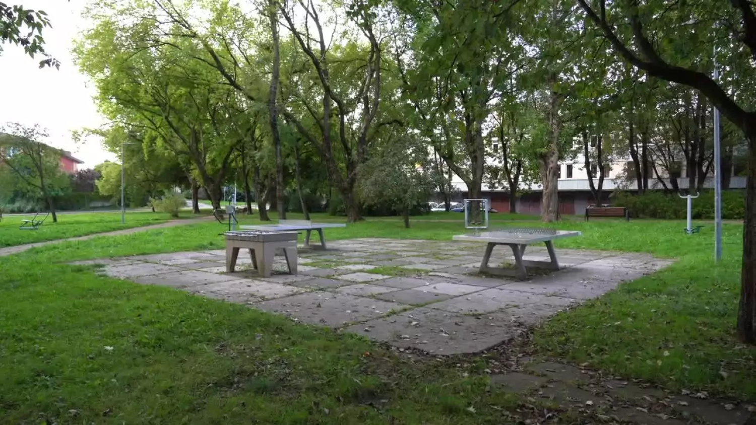 wt-prace-w-parku-sendlerowej.mp4