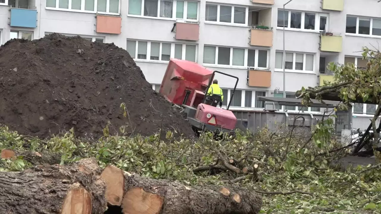 sr-konieczna-wycinka.mp4