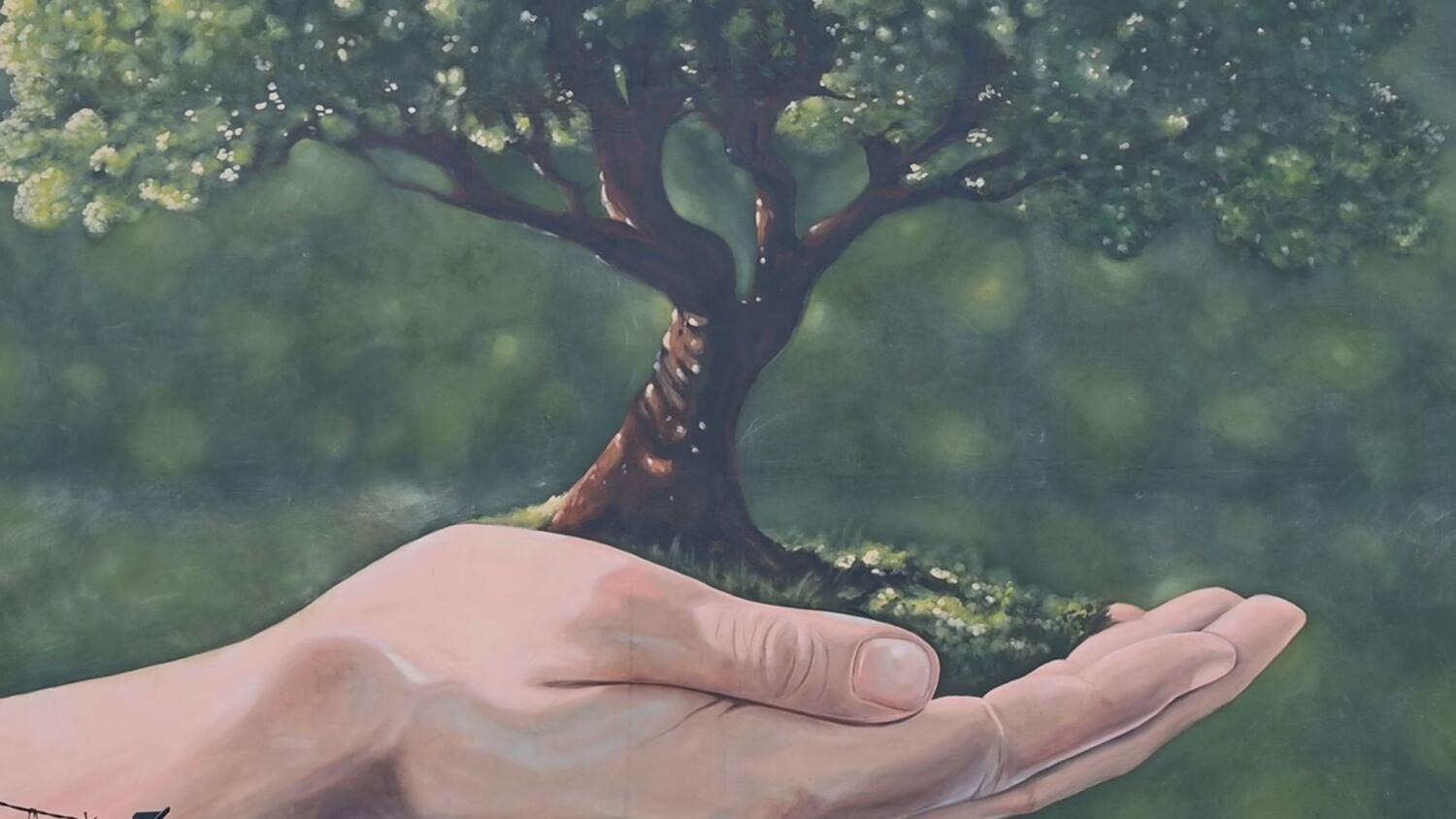 sr-z-drzewem-na-dloni.mp4