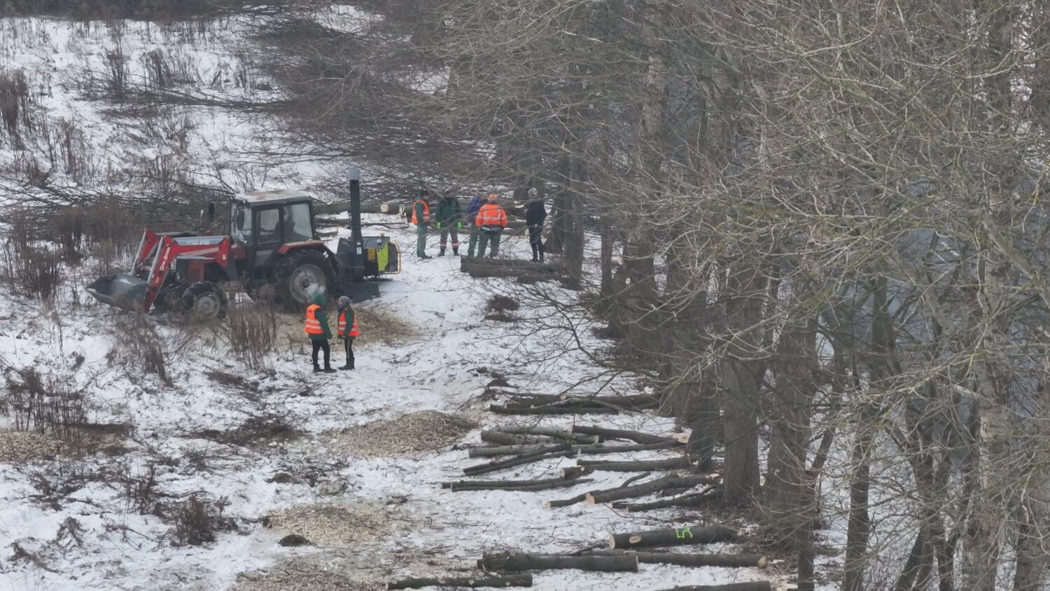 wt-wycinka-pod-remont-portowej.mp4