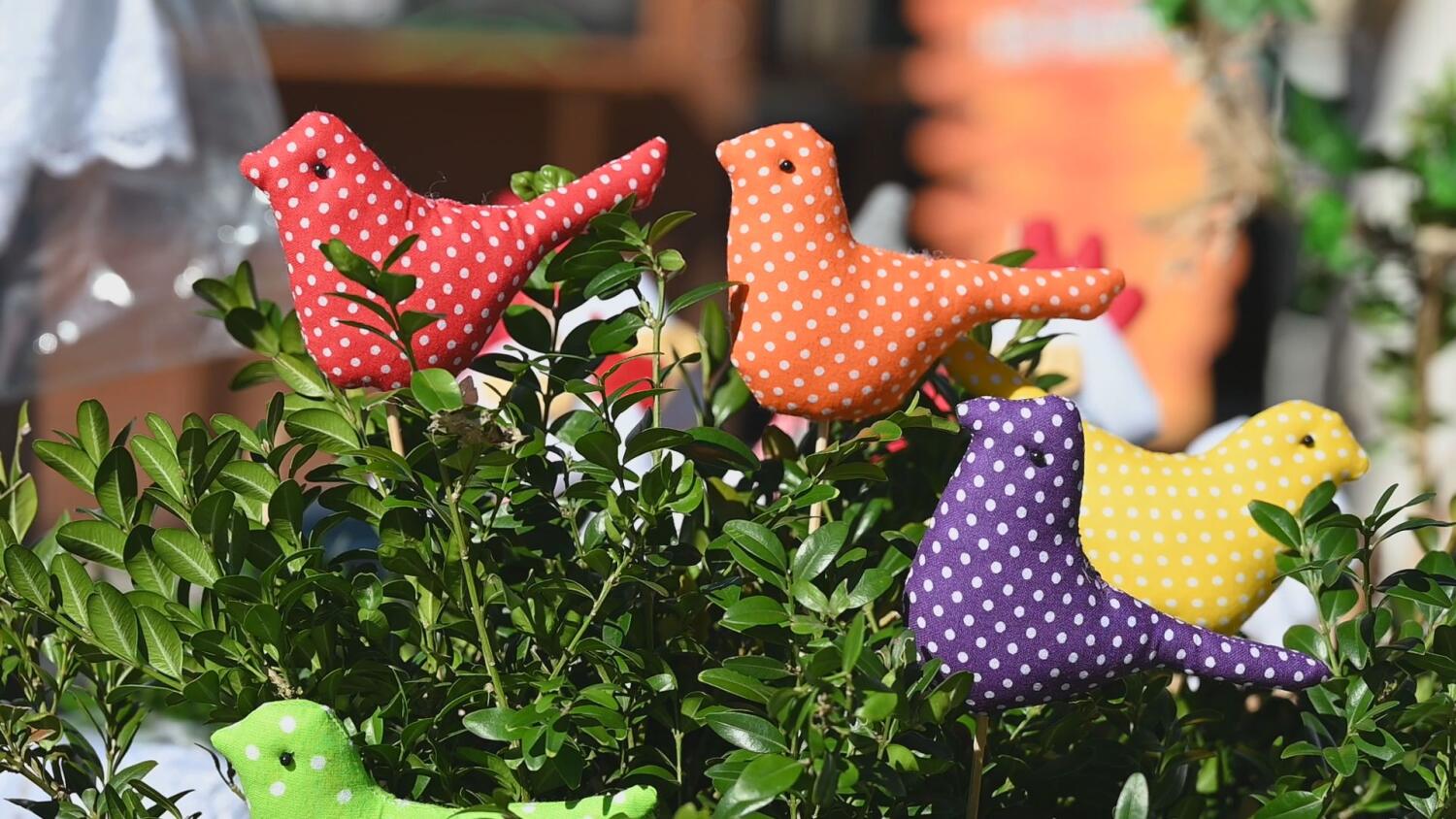 sr-jarmark-na-pierwszy-dzien-wiosny.mp4