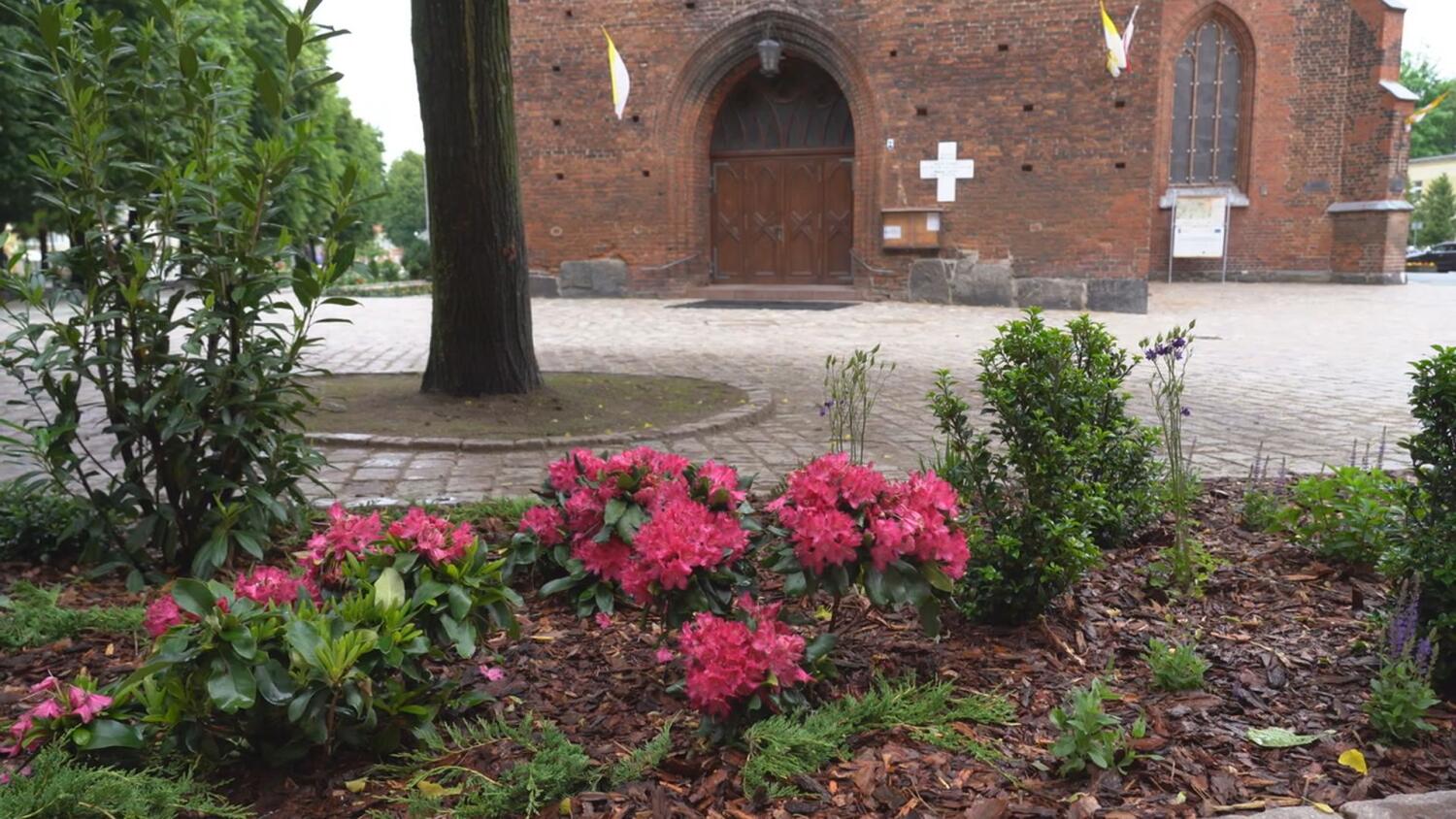 czw-zazielenil-sie-plac-mariacki.mp4